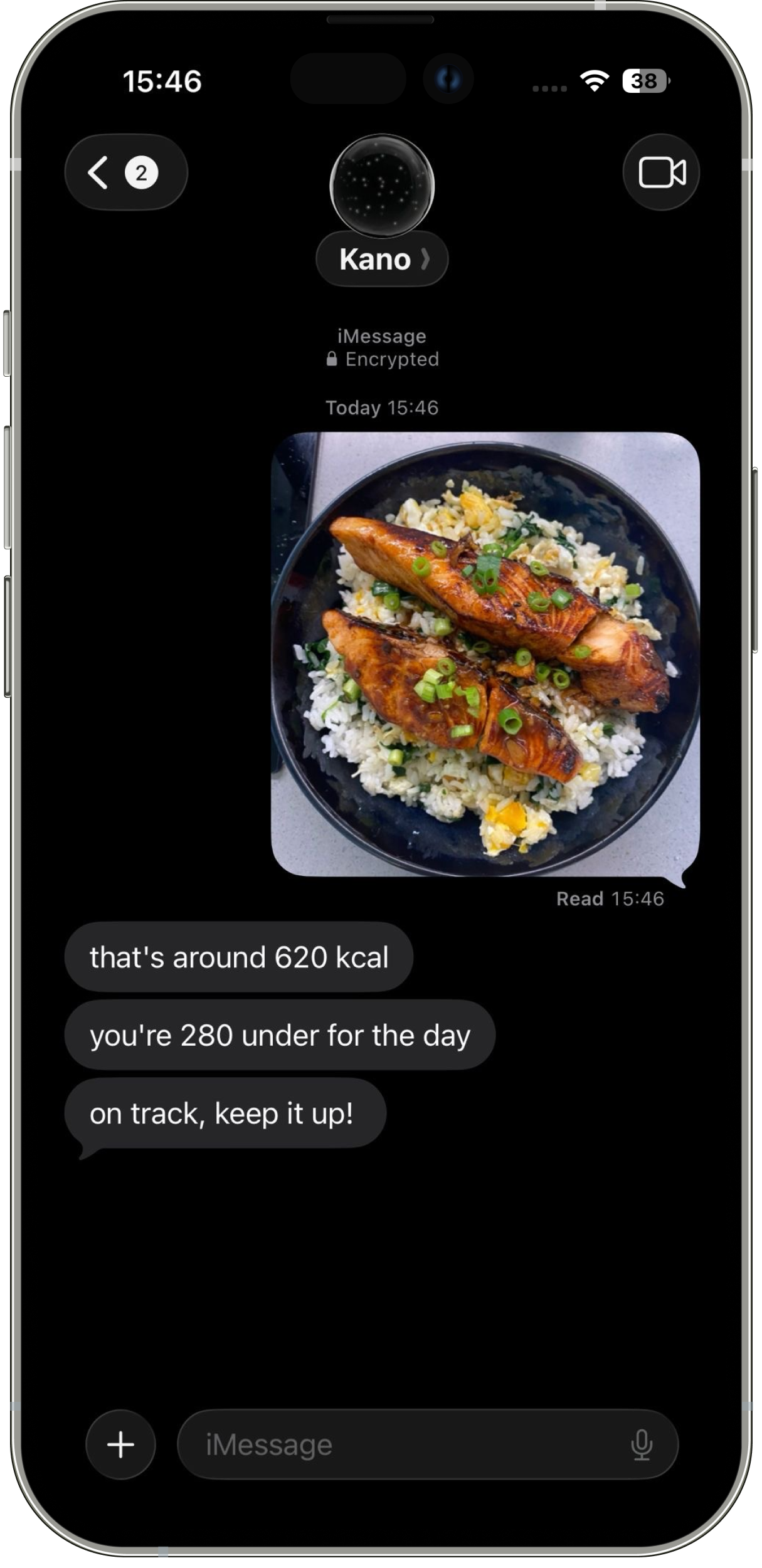 Kano analysing a meal photo over text